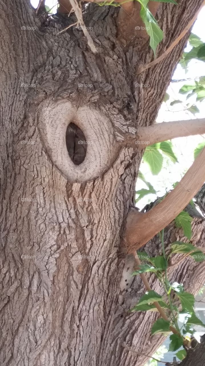 a heart filled with memories