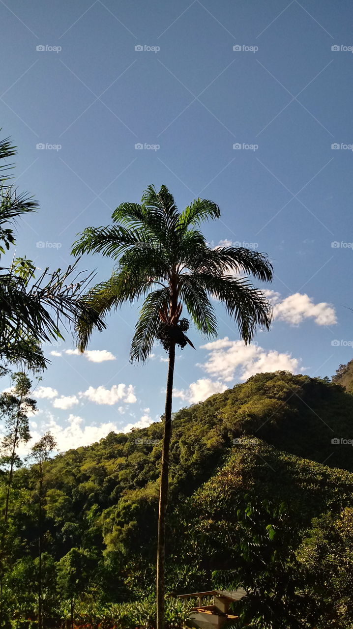 NATURE NATURAL NATUR ENVIRONMENTAL