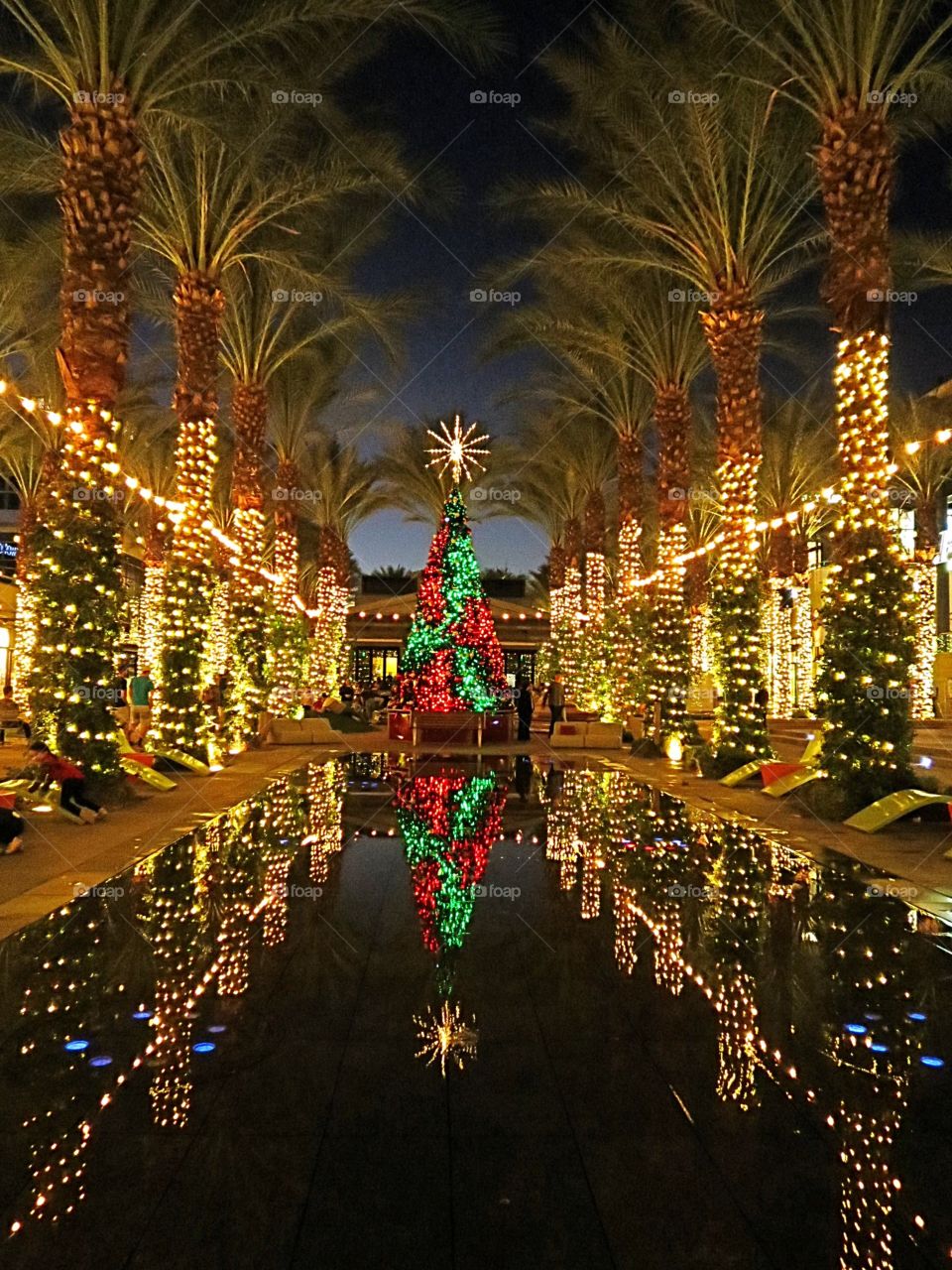 Dazzling Holiday Lights.