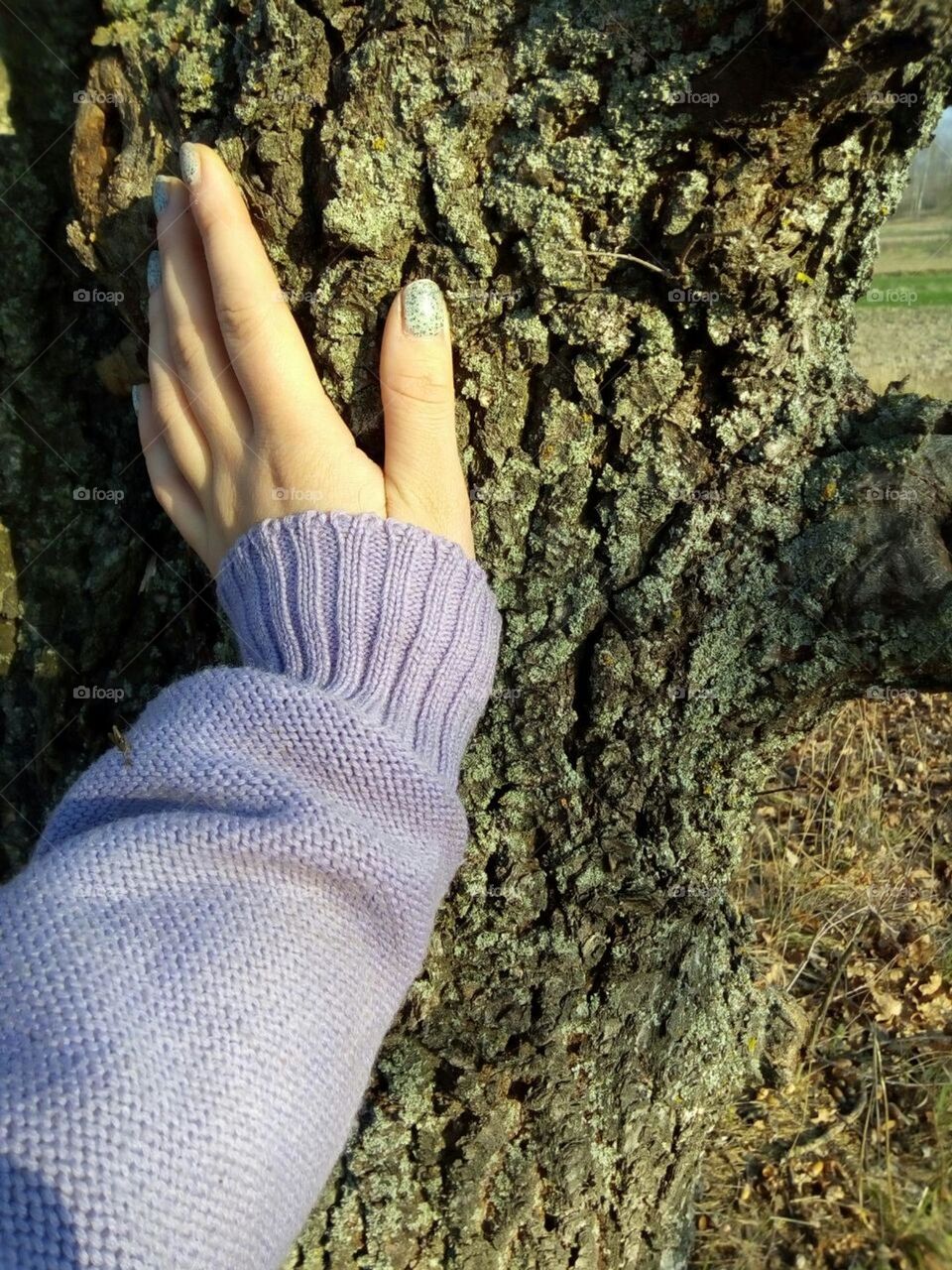 Unity with nature of a girl in a purple sweater