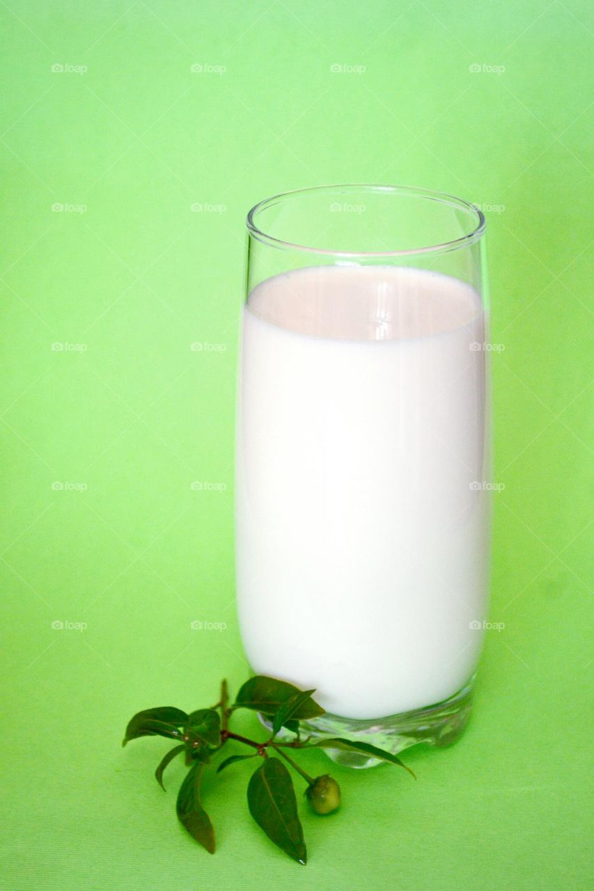 fresh gold milk in the summer