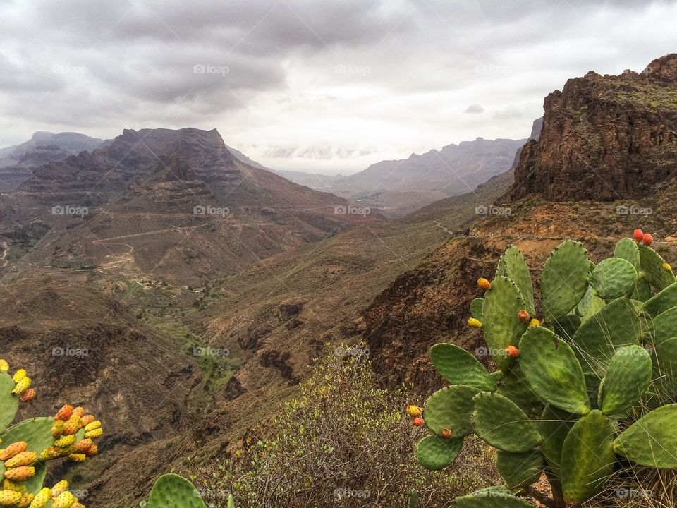 Gran Canaria