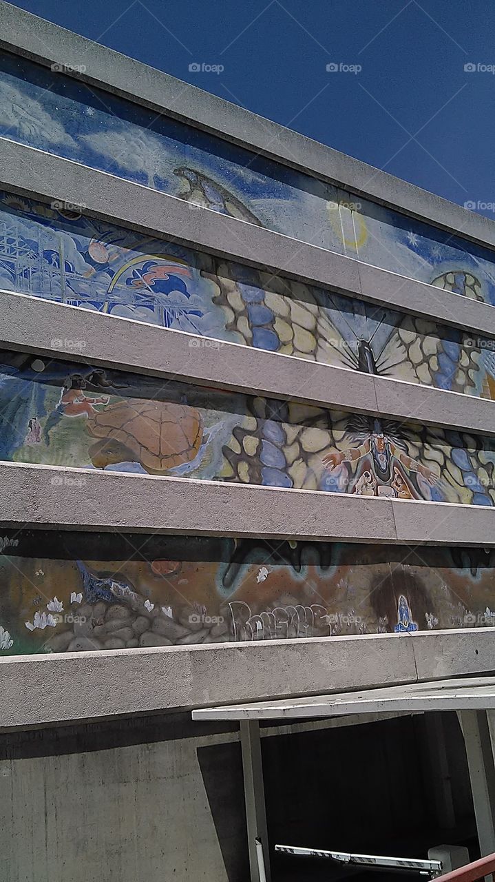 Sea turtle and friends. Out for a bike ride