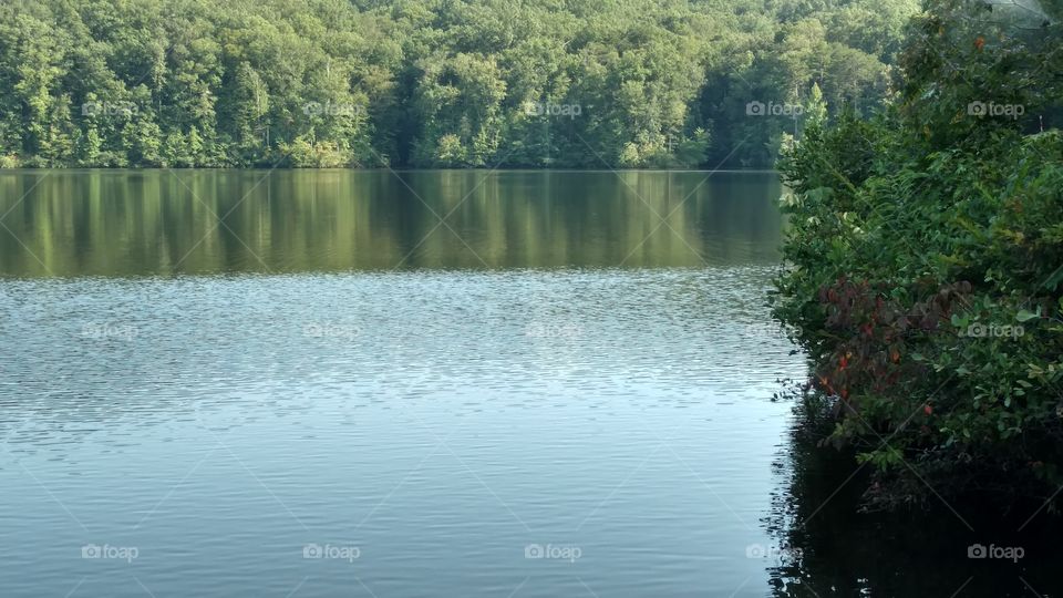 Water, River, Lake, No Person, Landscape