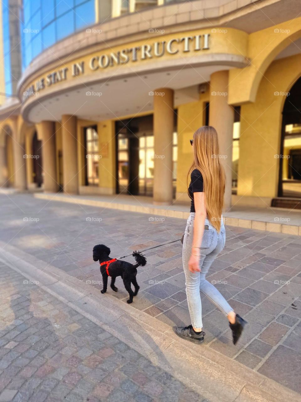 young girl walking the dog in the city