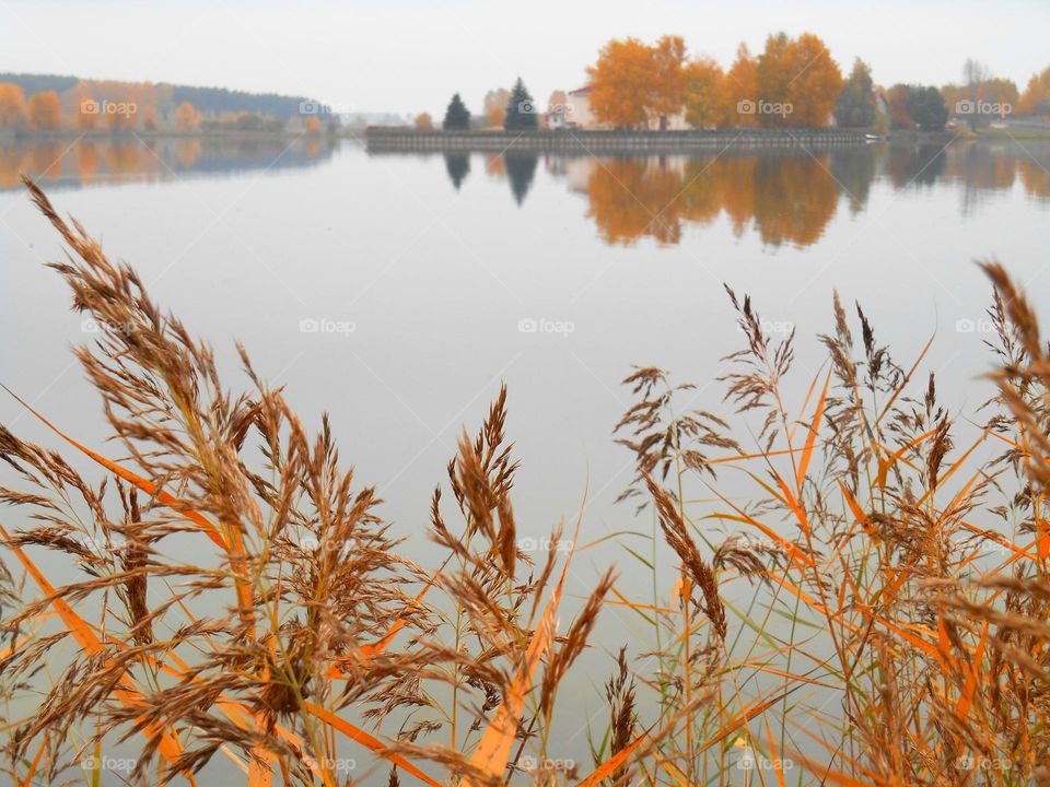 Fall, Landscape, Nature, No Person, Outdoors