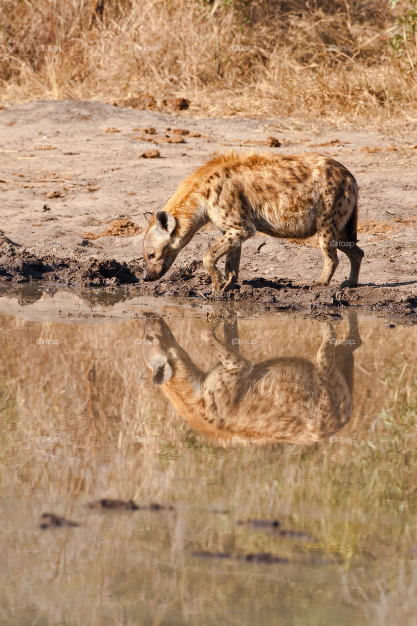 water reflection holiday africa by mike007