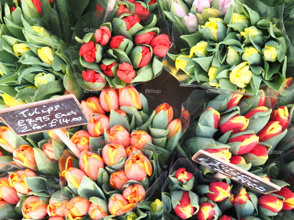 flowers on a London flower market