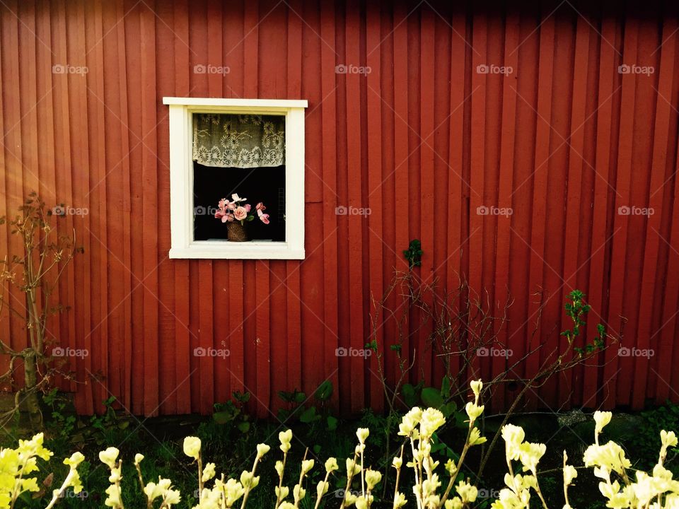 Window. Small window of typical red countryside house with flower in it