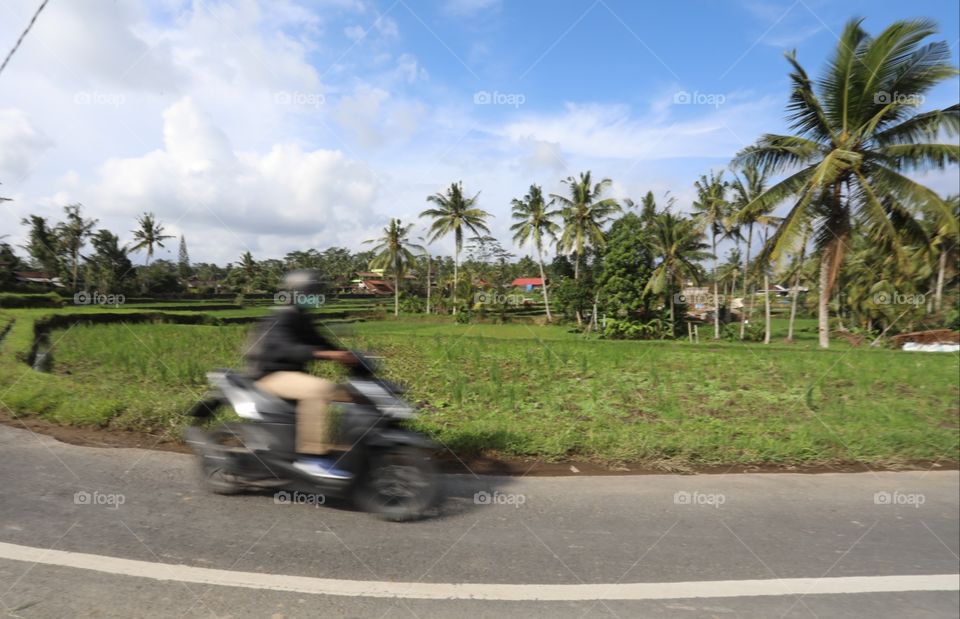 A moped speeds past rice fields in Bali, Indonesia