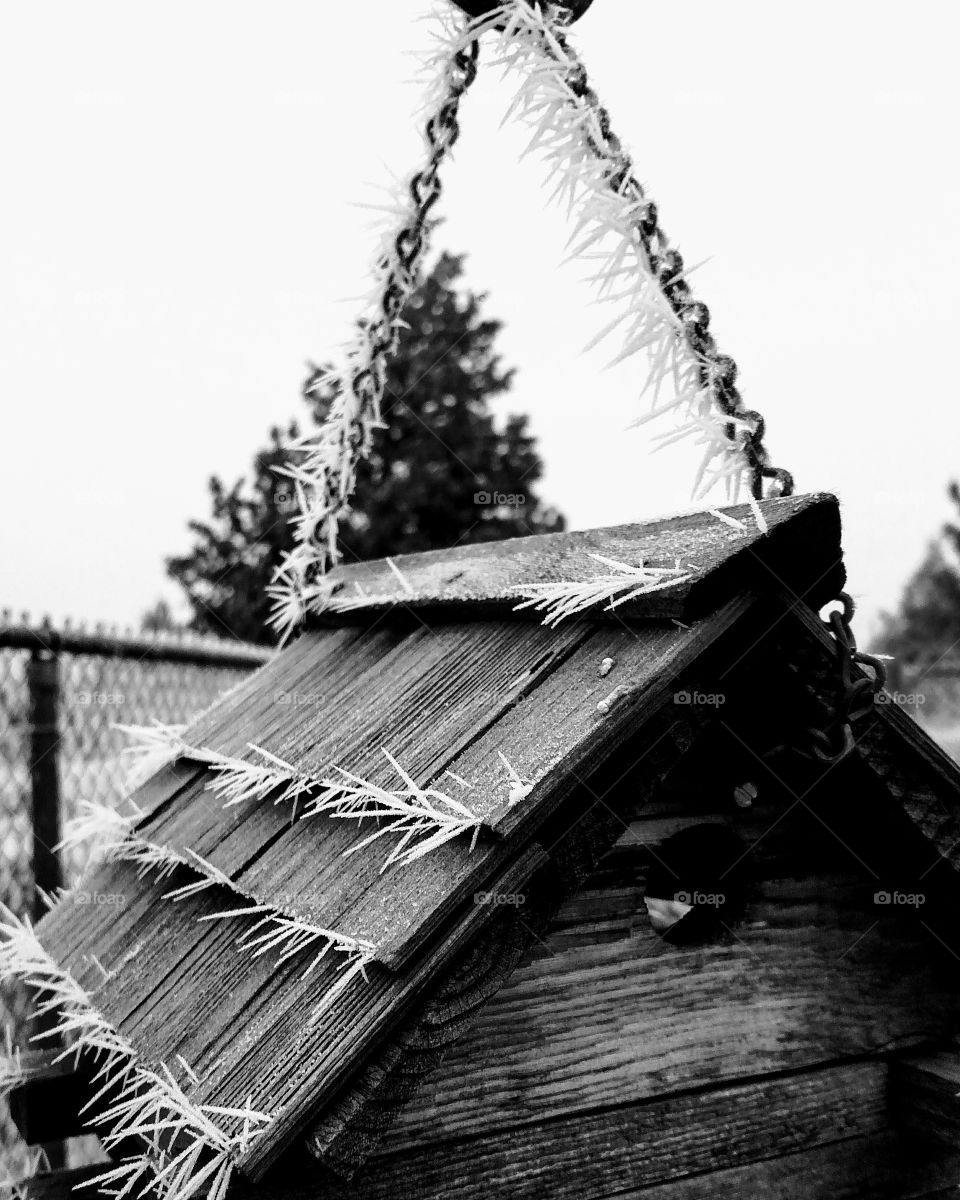 Wooden Birdhouse In frost Winter