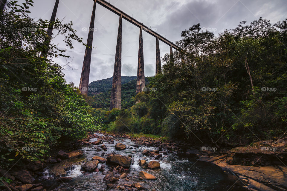 Viaduct in the nature 