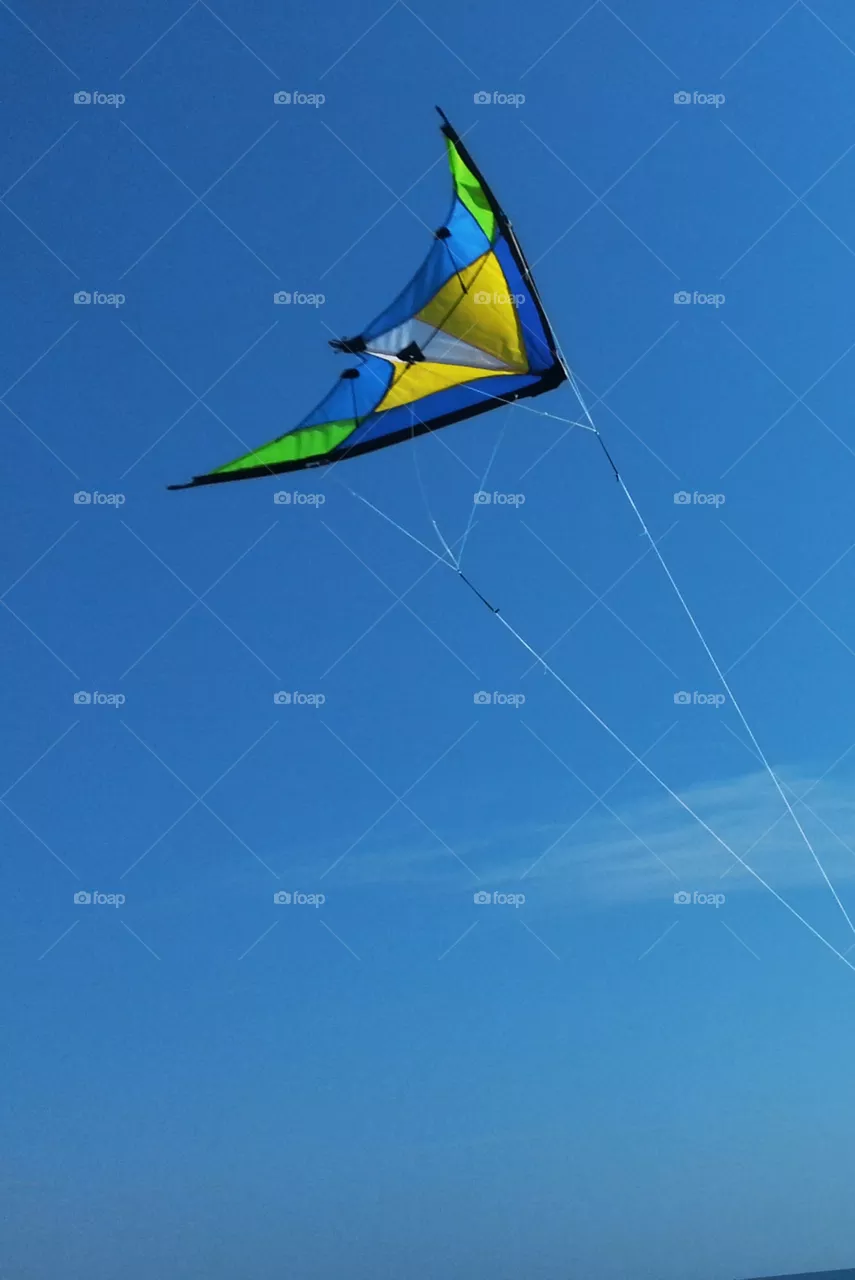 kite