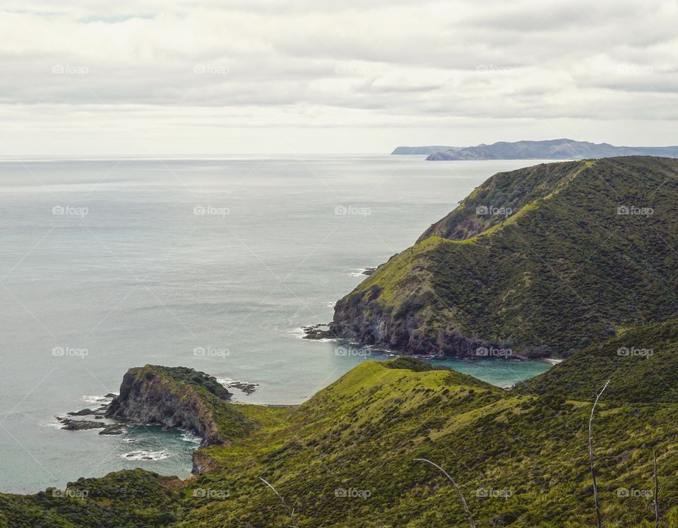 New Zealand Coastline