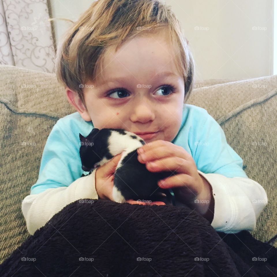 A little boy with kitten sitting on sofa