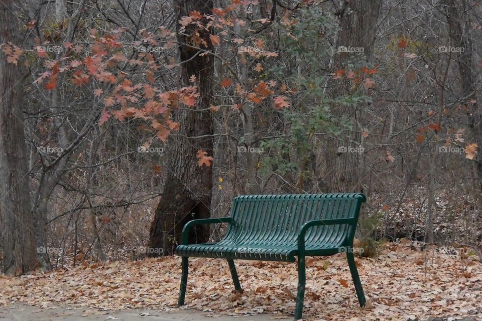 Bench