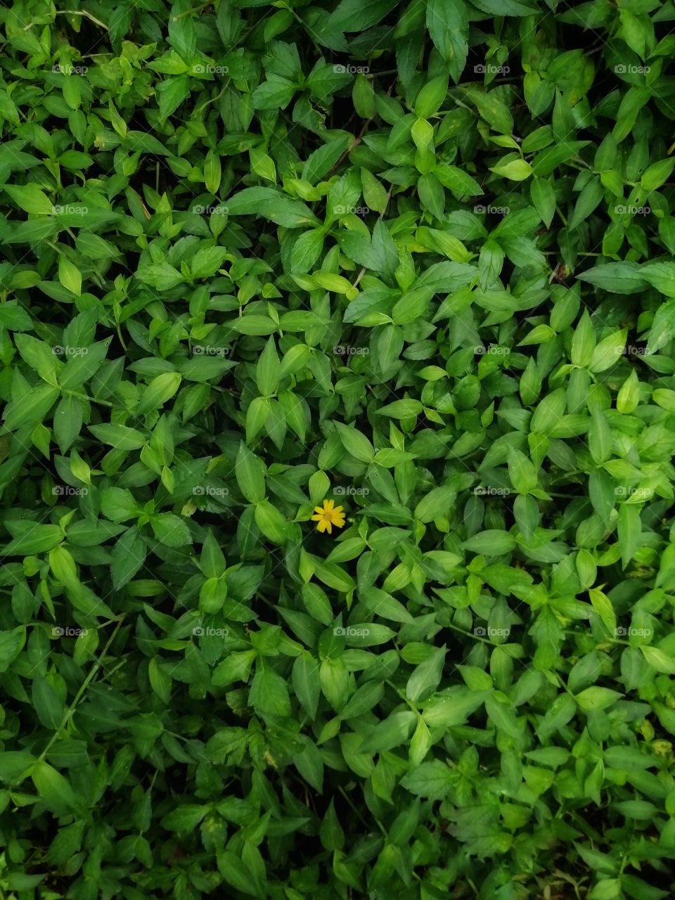 Not quantity but quality