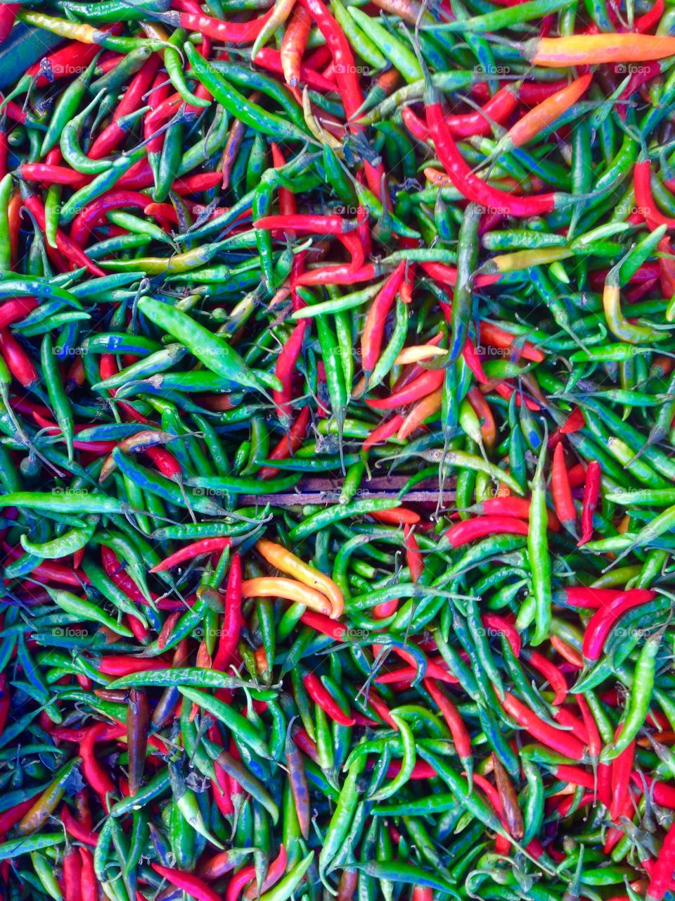 Close-up of red and green chilli papper