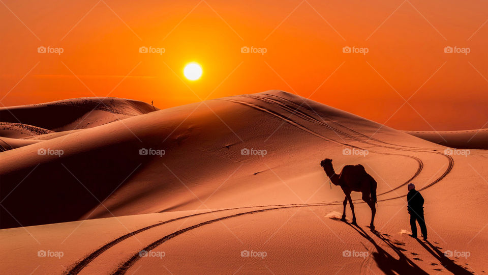 Desert man Camel