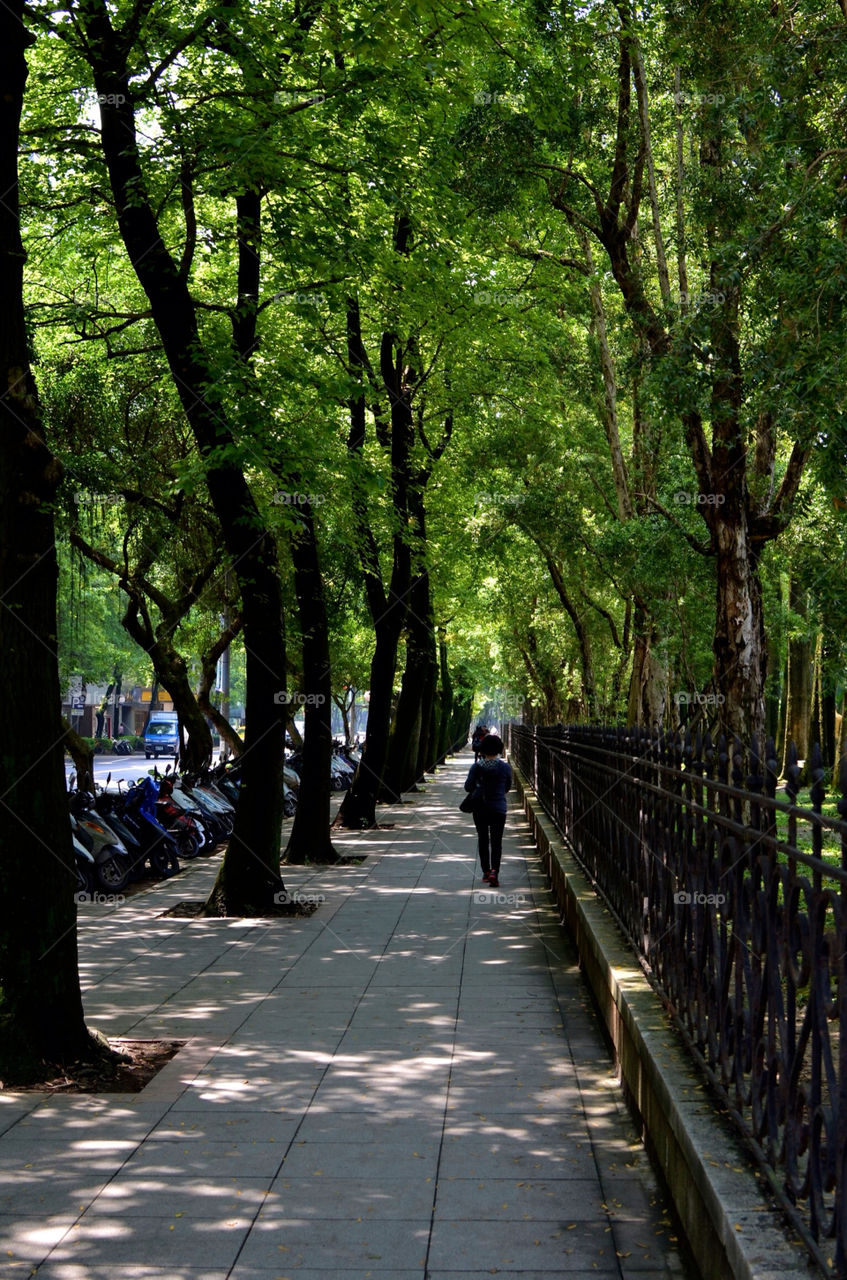 green garden city fence by hkjohan
