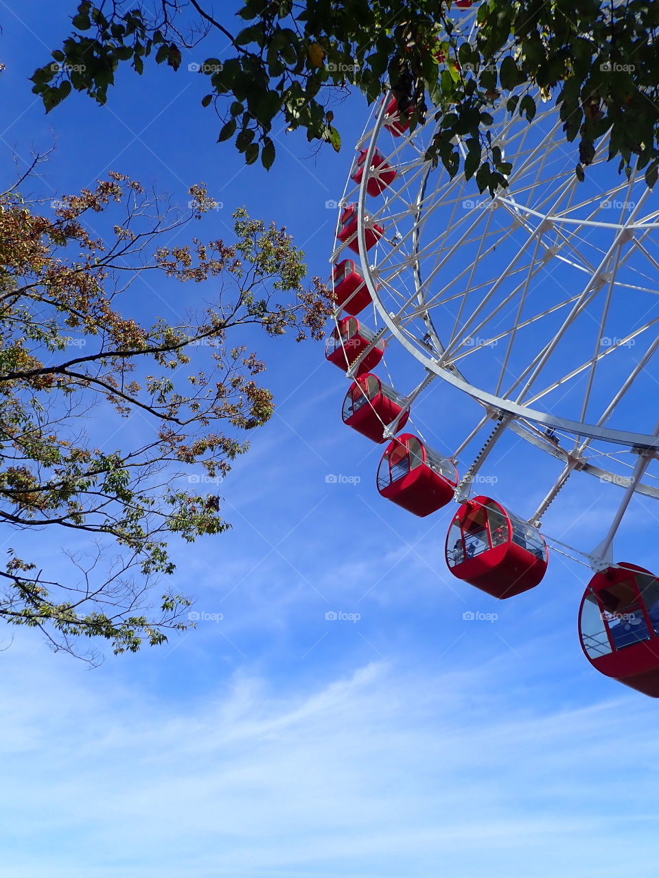 Red Ferris wheel