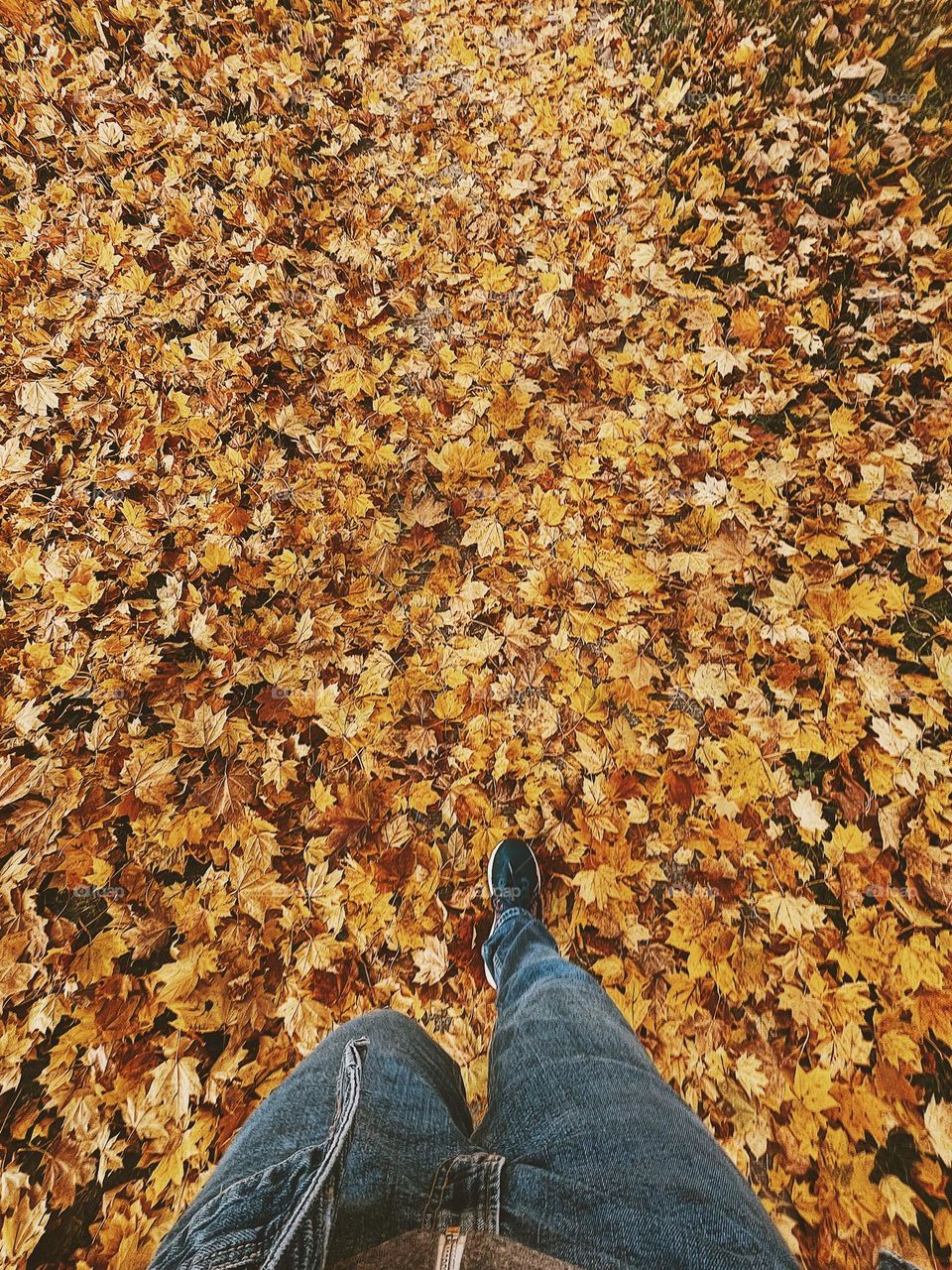 Woman walks through leaves, first person perspective, looking down into the leaves, walking through leaves 