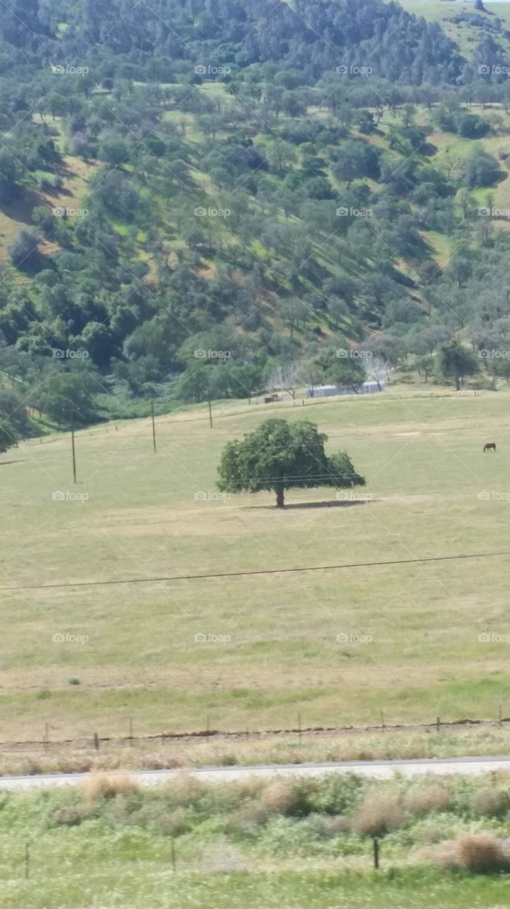 going up Tehachapi