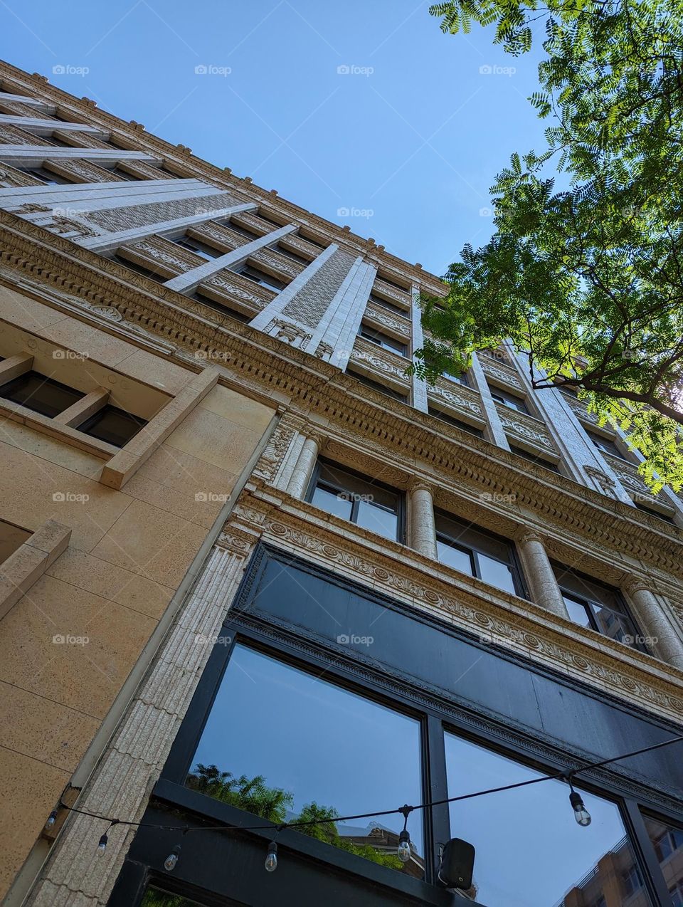 downtown city building architecture and reflective windows with blue skies and green trees