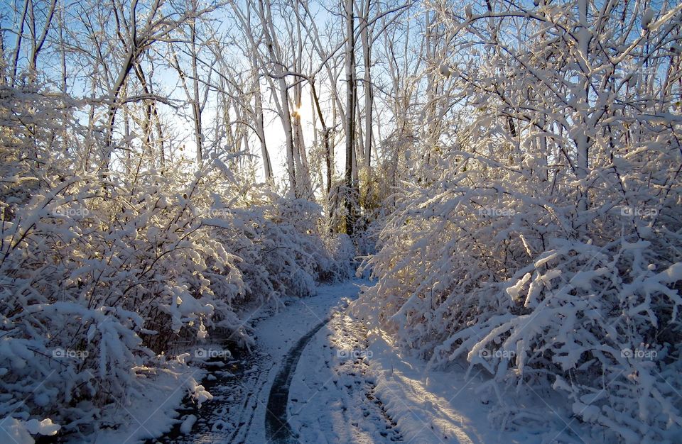 Morning snow