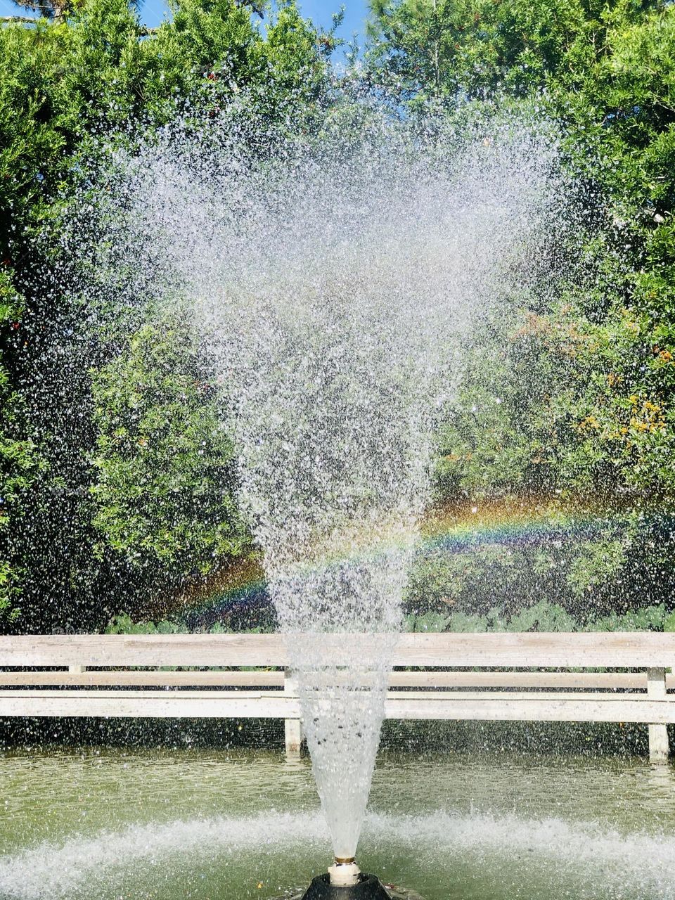 Fountain and water feature in city park on a sunny day. The water spray adds a rainbow to the urban environment.