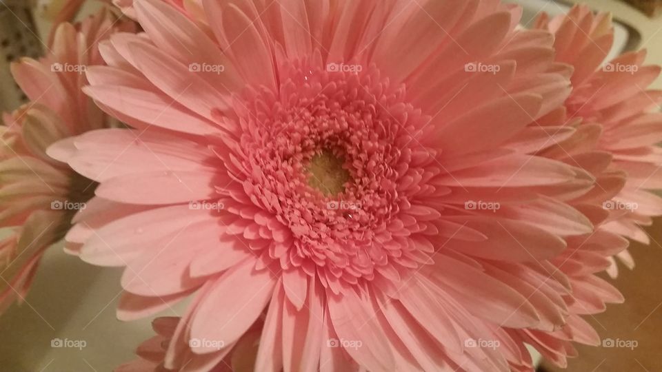 Flowers make me happy!