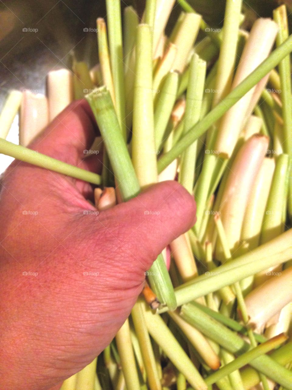 Working Hands

Published by:
HappyBrownMonkey 