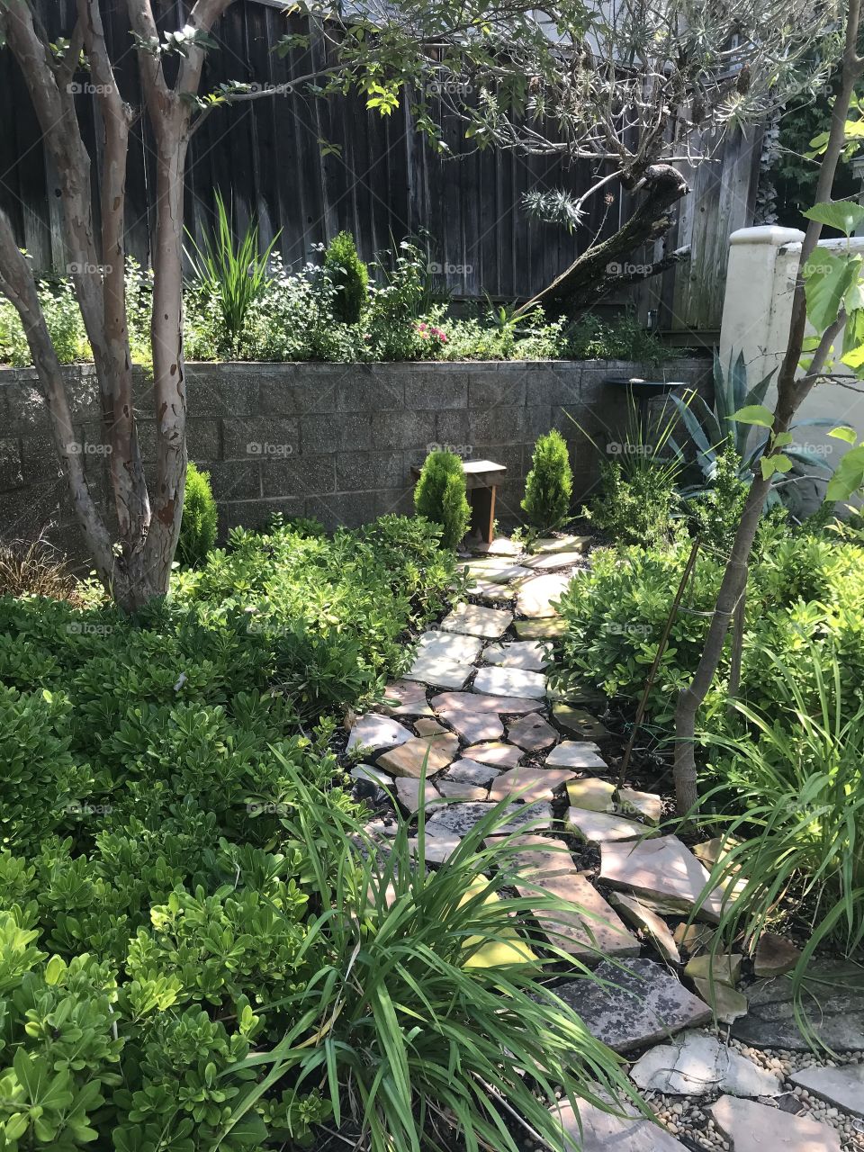 Simple garden path 