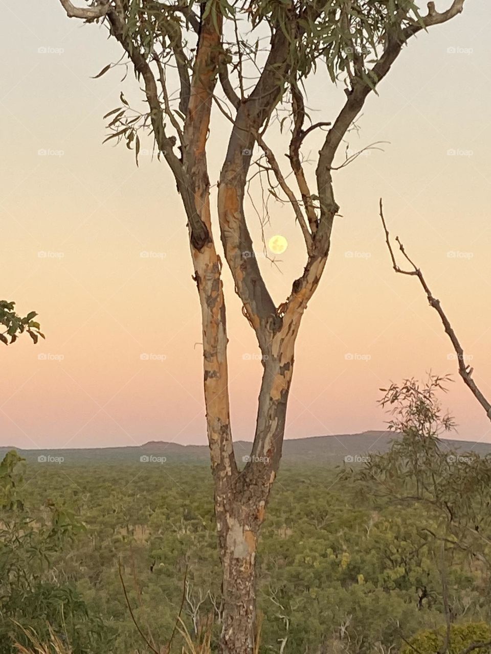 Moon Rising over Undara Caldera 3