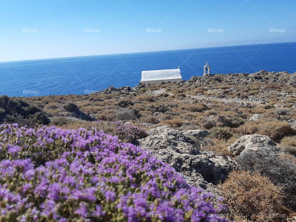 the college next to the coast