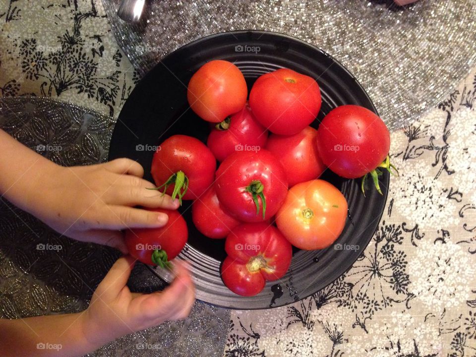 Fresh tomatoes from garden