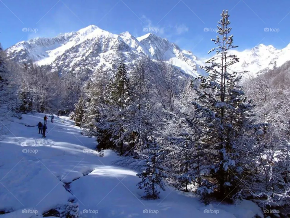 nieve