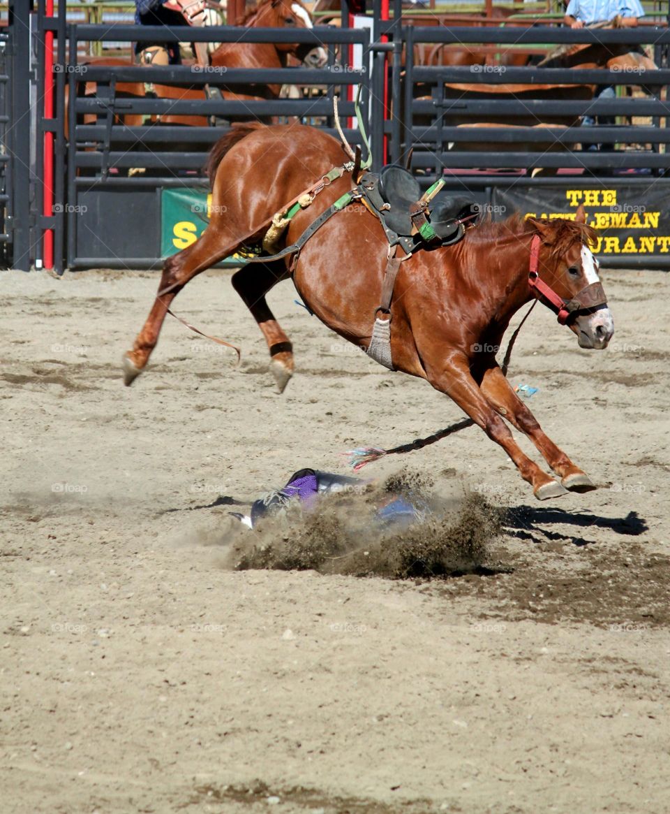 Bare Horseback Riding