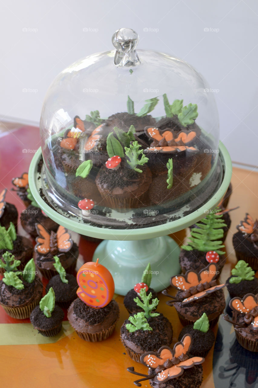 Cupcake Terrarium 