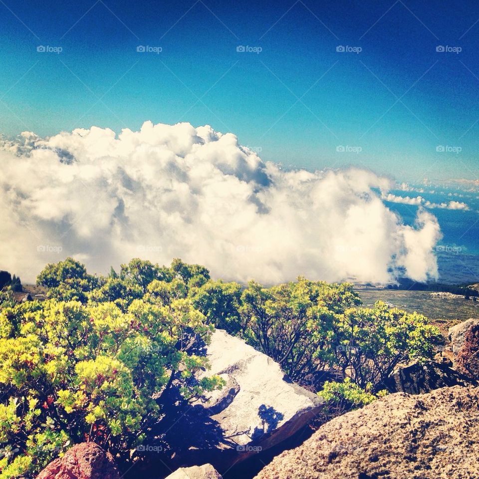 Haleakala 