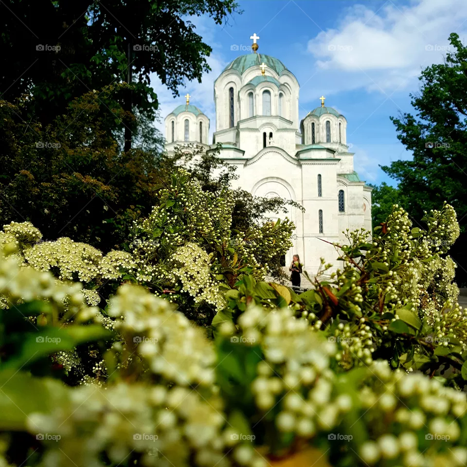 Srbija Oplenac Topola crkva