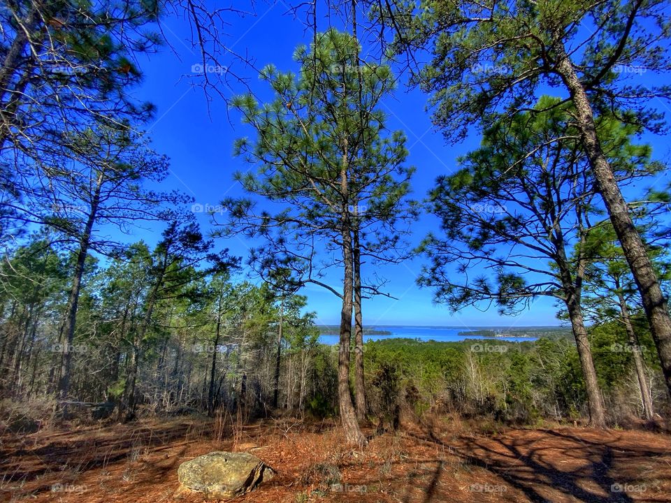 Lake Overlook