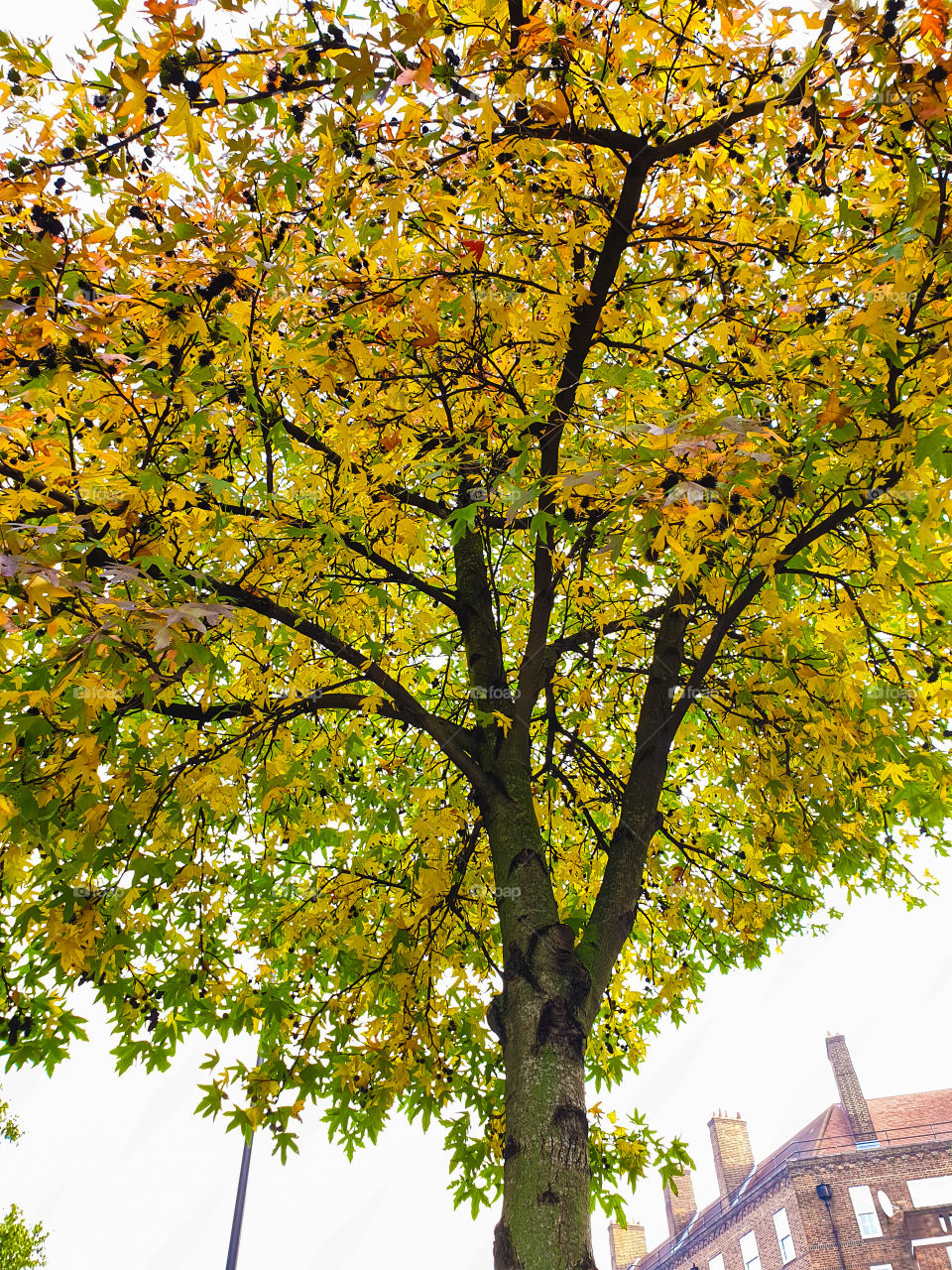 Autumn is love. ❤️