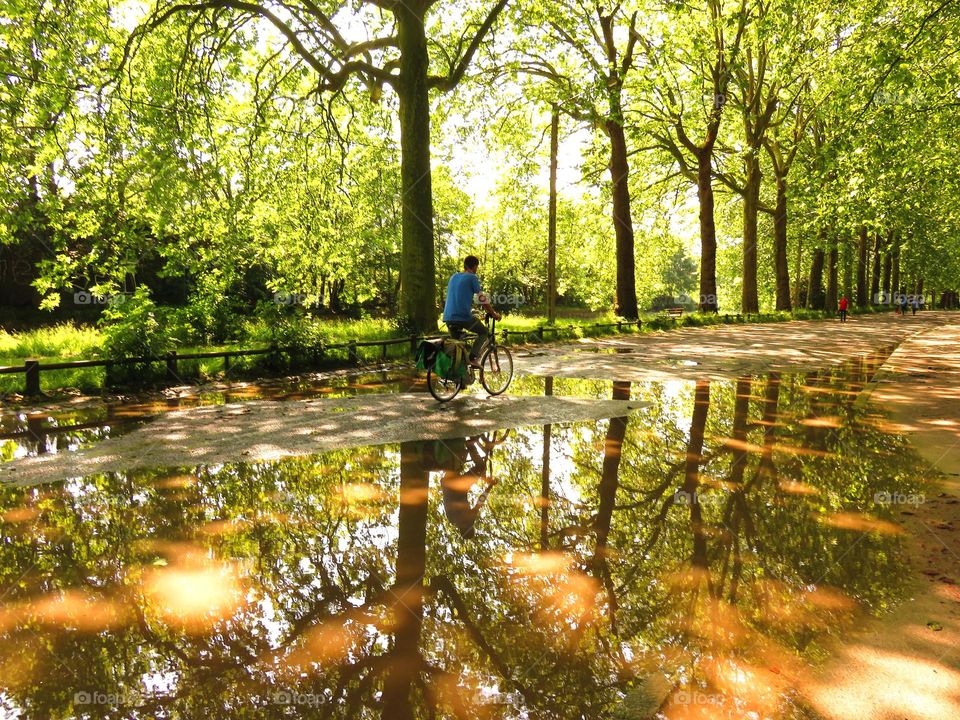 flood reflection