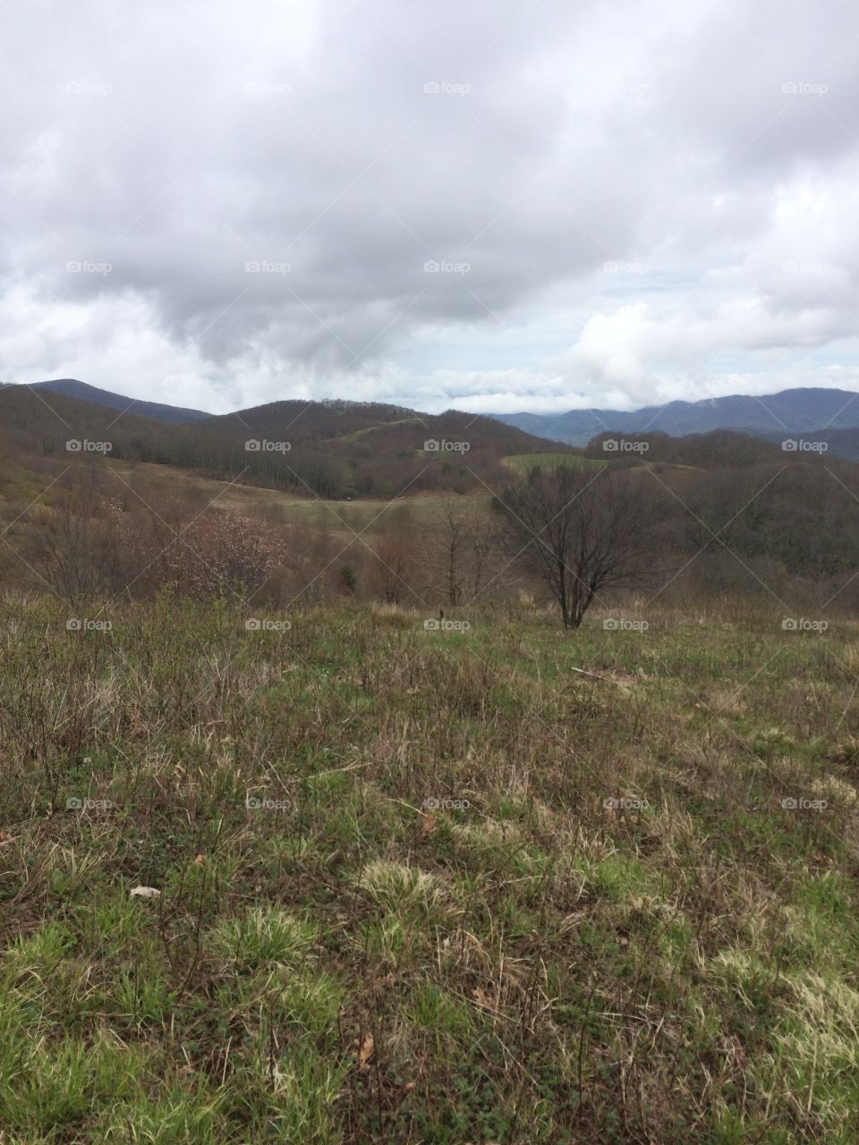 Hiking on the Appalachian Trail