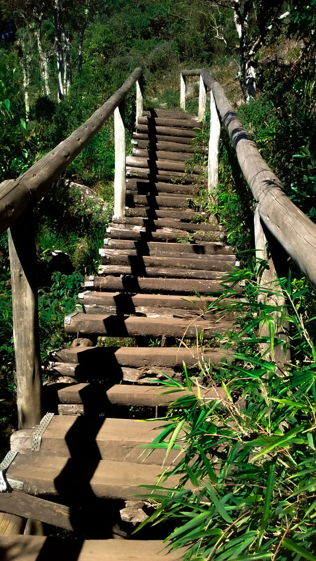 Ponte para Pedra Redonda - Monte Verde/ MG / Brazil