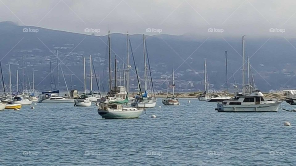 Yacht, Sea, Sailboat, Water, Harbor