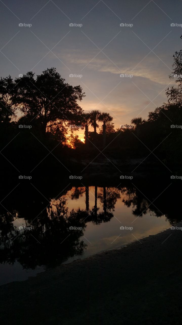 Florida sunrise on the Myakka River