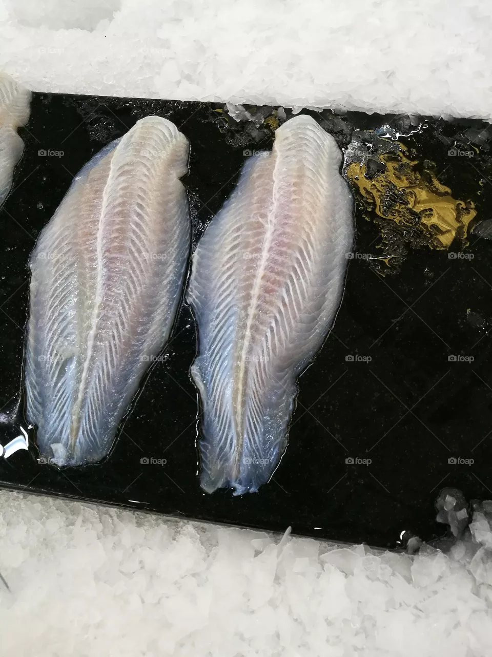 fish