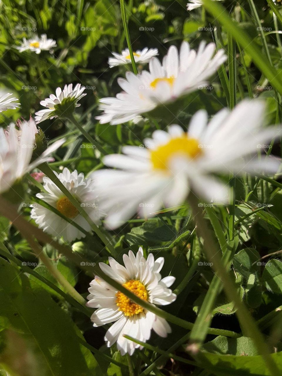 those one is a little different